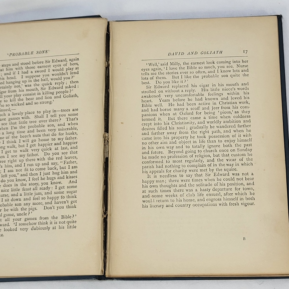 Probable Sons Amy Le Feuvre Antique 1900s Tract Society Victorian Hardcover - Picture 9 of 14